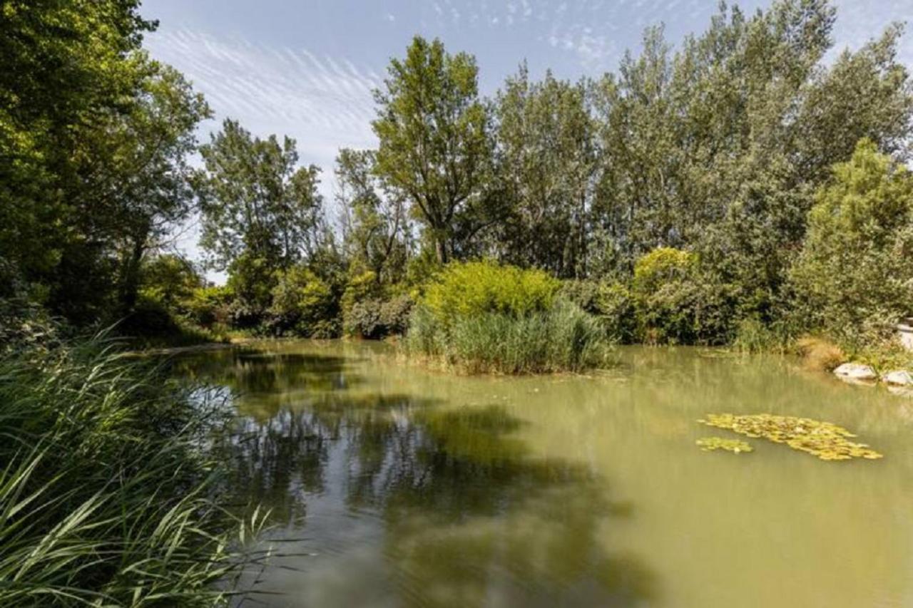 LʼIsle-sur-la-Sorgue La Bastide De L Etang 아파트 외부 사진